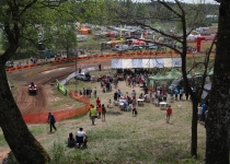 Vaidavas kauss 2014389