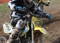 Vaidavas kauss 2014399