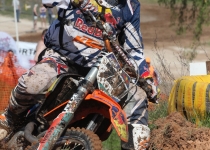 Vaidavas kauss 2014432