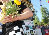 Vaidavas kauss 2014578